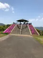 空の公園の写真_769848