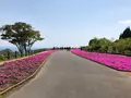 空の公園の写真_769849