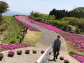 空の公園の写真_769850