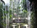 東京都夢の島熱帯植物館の写真_781598