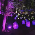 武蔵野樹林パークの写真_785851