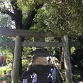 伊豆山神社の写真_789171