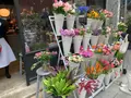 hananeの写真_854302