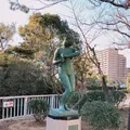 野鳥の島の写真_878285