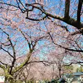 密蔵院の写真_888838