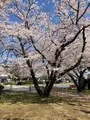 大貞公園の写真_901222