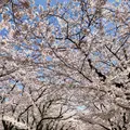 大貞公園の写真_901223