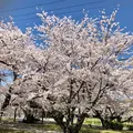 大貞公園の写真_901225
