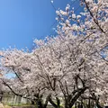 大貞公園の写真_901228