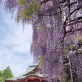笠間稲荷神社の写真_919174