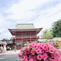 笠間稲荷神社の写真_919175
