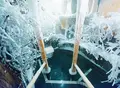 サウナ・カプセル ウェルビー栄の写真_972623