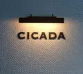 シカダ （CICADA）の写真_211064