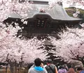 建長寺の写真_37383