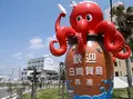 日間賀島西港の写真_132033