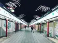 浅草寺の写真_223839