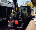 道後ハイカラ通りの写真_28727