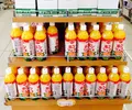 道後ハイカラ通りの写真_133730