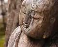 円覚寺の写真_37379