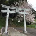 八幡神社から見える 桜並木の写真_174385