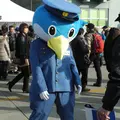 岐阜基地航空祭の写真_21637