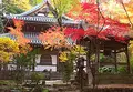 安井金比羅宮の写真_17031