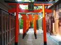 堀越神社(大阪)の写真_96622