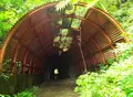 頭川トンネルの写真_188040