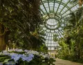 Royal Greenhouses of Laekenの写真_571700