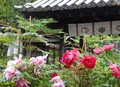 長谷寺の写真_76082