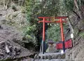 松尾大社の写真_76127