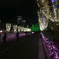 大阪市中央公会堂　の写真_18548