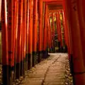 根津神社の写真_30833