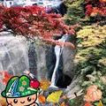 袋田の滝の写真_238589