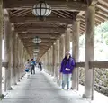 長谷寺の写真_76083