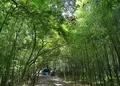 お茶屋屋敷跡の写真_20424