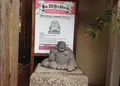高台寺の写真_26346