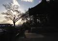 高台寺の写真_26349