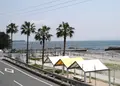 トロピカルな海岸の写真_26614