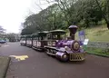 万博記念公園の写真_28262