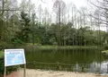 万博記念公園の写真_28265