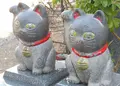 今戸神社の写真_62260