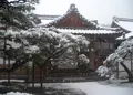 銀閣寺(東山慈照寺)の写真_67999