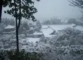 銀閣寺(東山慈照寺)の写真_68000