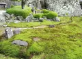 行基寺（月見寺）の写真_76795
