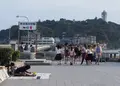 江の島大橋の写真_144465