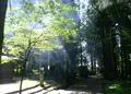 雄山神社（芦峅中宮）の写真_146466