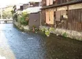 京都白川の写真_212489