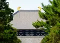 東大寺の写真_262495