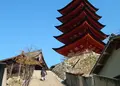 豊国神社（千畳閣）の写真_279399